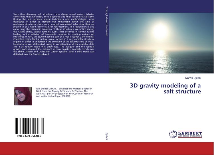Produktbild: 3D gravity modeling of a salt structure