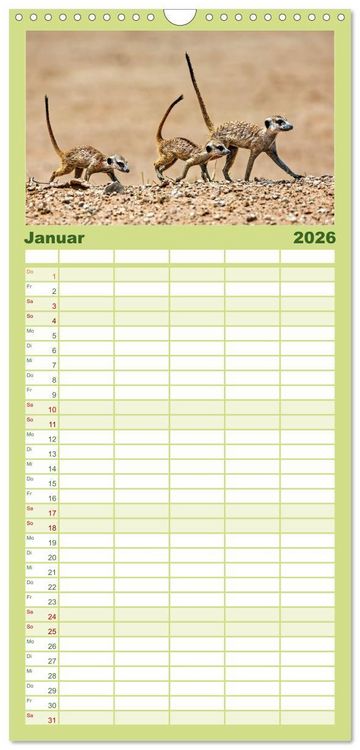 Produktbild: Familienplaner 2026 - Afrikas Tierwelt - Erdm&auml;nnchen mit 5 Spalten (Wandkalender, 21 x 45 cm) CALVENDO