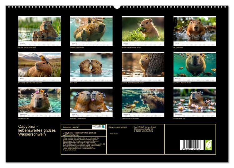 Produktbild: Capybara - liebenswertes gro&szlig;es Wasserschwein (hochwertiger Premium Wandkalender 2026 DIN A2 quer), Kunstdruck in Hochglanz