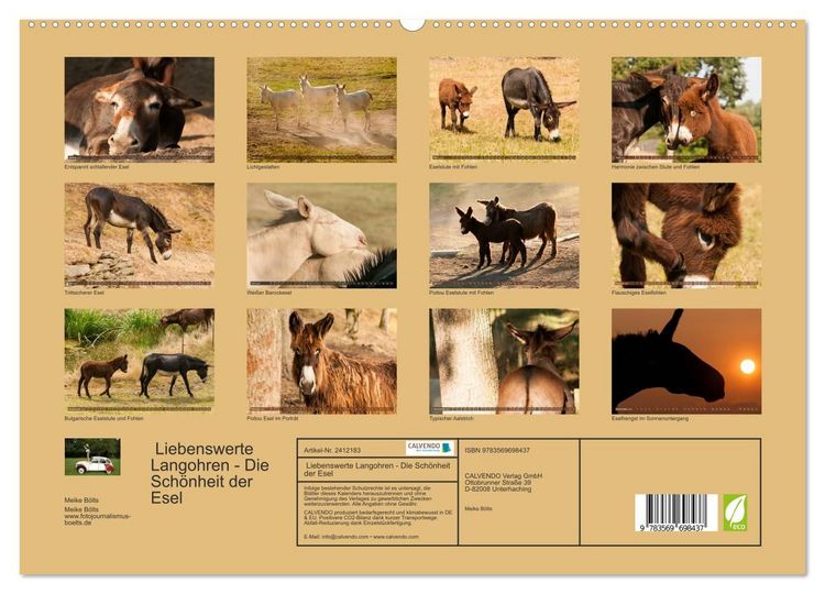 Produktbild: Liebenswerte Langohren - Die Sch&ouml;nheit der Esel (hochwertiger Premium Wandkalender 2027 DIN A2 quer), Kunstdruck in Hochglanz