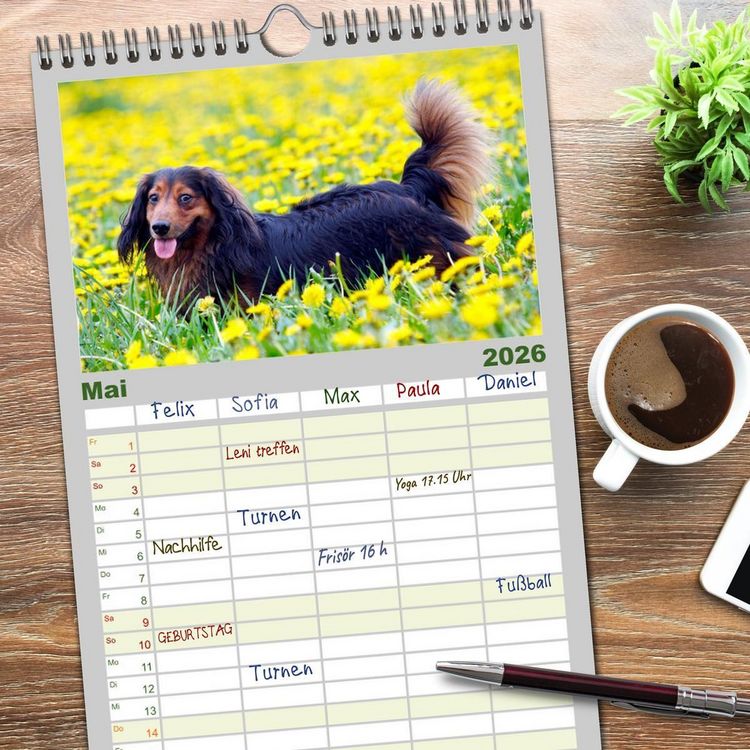 Produktbild: Familienplaner 2026 - Dackelblicke - Lassen Herzen erw&auml;rmen. mit 5 Spalten (Wandkalender, 21 x 45 cm) CALVENDO