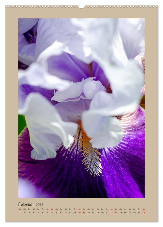 Produktbild: Zauberhafte Iris (hochwertiger Premium Wandkalender 2026 DIN A2 hoch), Kunstdruck in Hochglanz