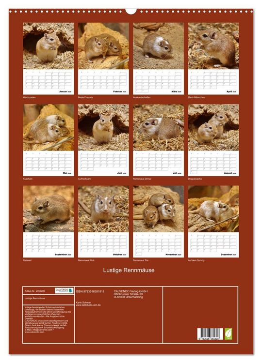 Produktbild: Lustige Rennm&auml;use (Wandkalender 2026 DIN A2 hoch), CALVENDO Monatskalender