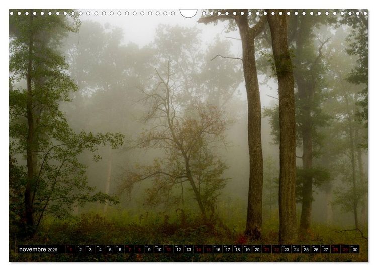 Produktbild: Lumi&egrave;res des Vosges (Calendrier mural 2026 DIN A3 vertical), CALVENDO calendrier mensuel