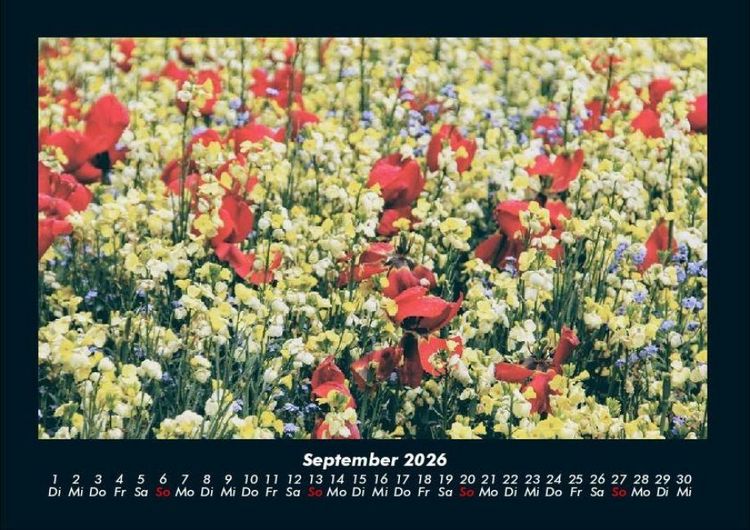 Produktbild: Blumentr&auml;ume 2026 Fotokalender DIN A4