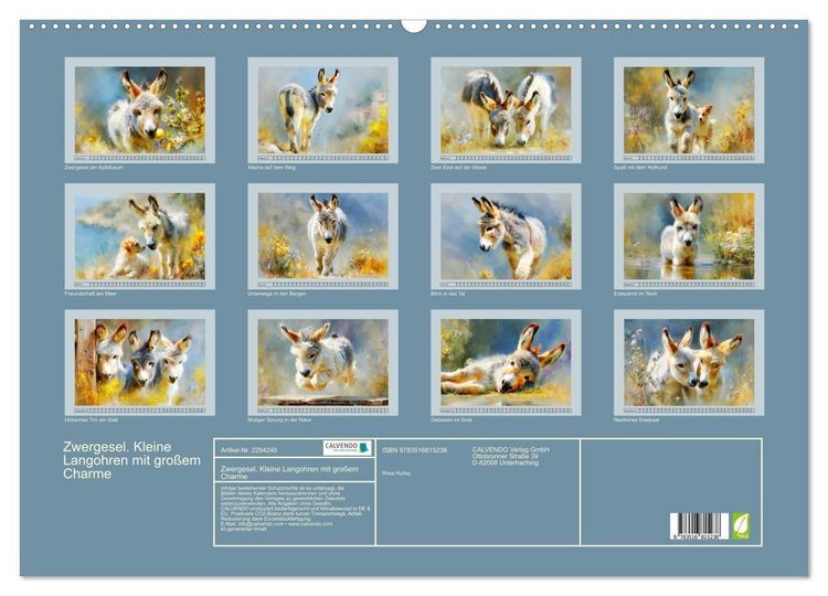 Produktbild: Zwergesel. Kleine Langohren mit gro&szlig;em Charme (Wandkalender 2027 DIN A2 quer), CALVENDO Monatskalender