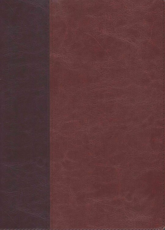 Produktbild: Every Man's Bible-NLT-Large Print