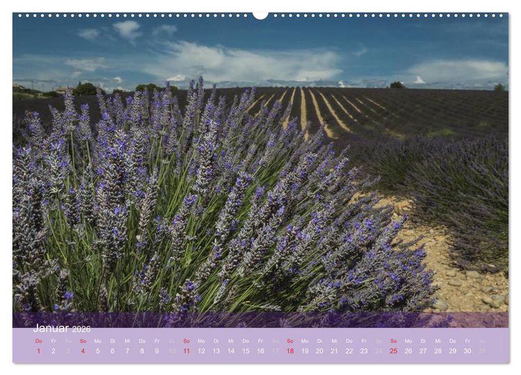 Produktbild: Die Farbe des Lavendels (hochwertiger Premium Wandkalender 2026 DIN A2 quer), Kunstdruck in Hochglanz
