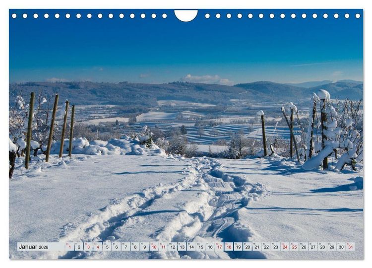 Produktbild: Weinregion Kaiserstuhl (Wandkalender 2026 DIN A4 quer), CALVENDO Monatskalender