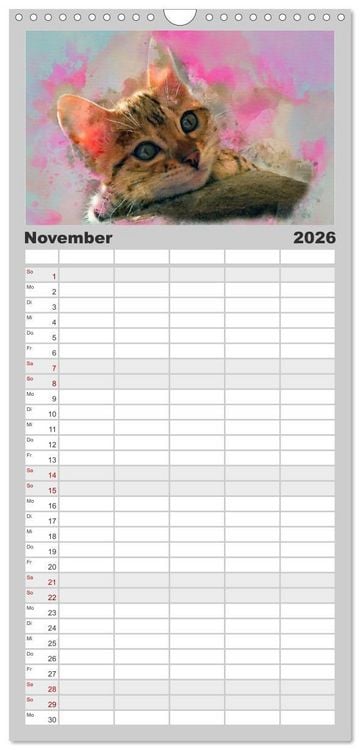Produktbild: Familienplaner 2026 - Katzenkalender mausgemalt mit 5 Spalten (Wandkalender, 21 x 45 cm) CALVENDO