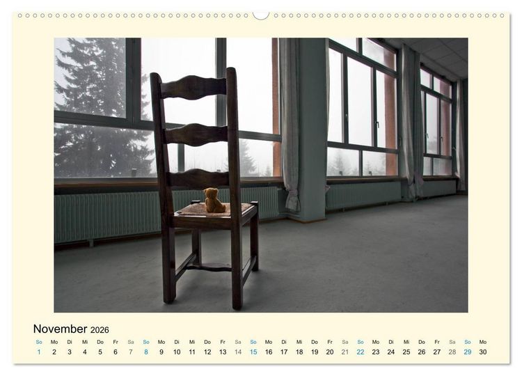Produktbild: Herr B&auml;r urban explorer (Wandkalender 2026 DIN A2 quer), CALVENDO Monatskalender