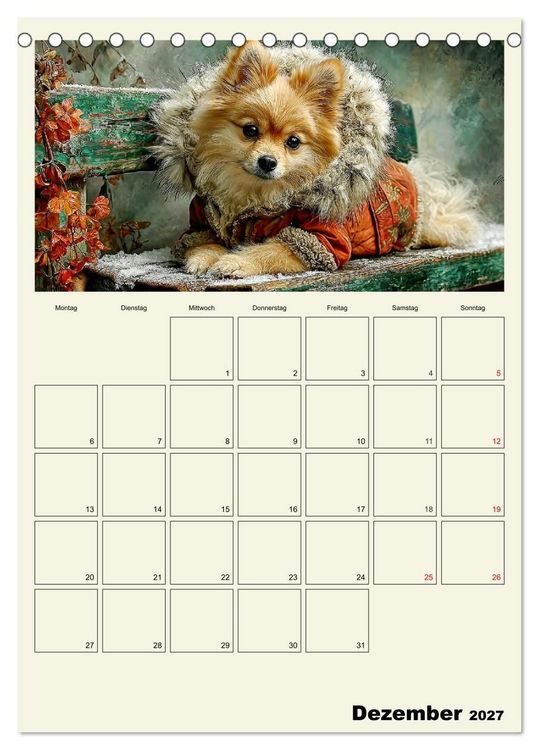 Produktbild: Schnuten im Herbstlicht. Kleine Hunde in stillen Momenten (Tischkalender 2027 DIN A5 hoch), CALVENDO Monatskalender