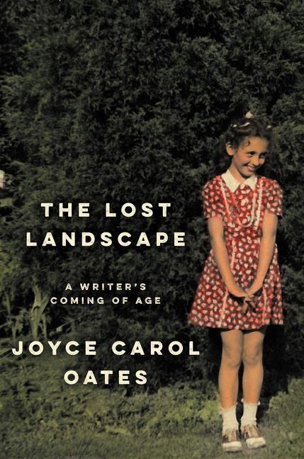 Produktbild: The Lost Landscape