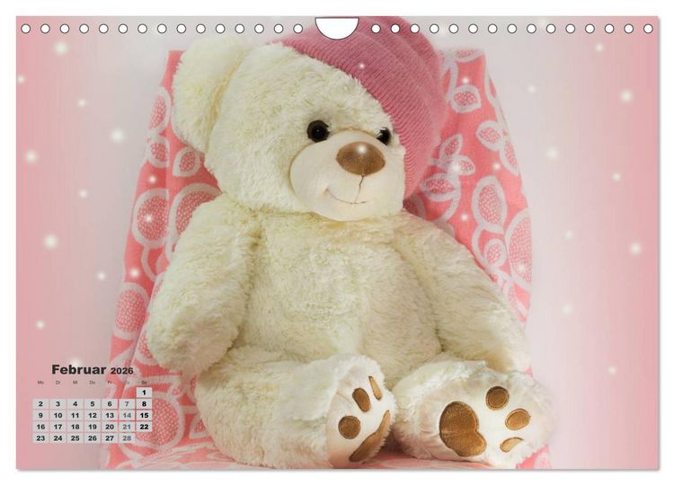 Produktbild: Teddys, wollen wir Kalender anschauen? (Wandkalender 2026 DIN A4 quer), CALVENDO Monatskalender