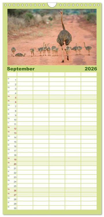Produktbild: Familienplaner 2026 - Abenteuer Afrika - Im Paradies der Tiere mit 5 Spalten (Wandkalender, 21 x 45 cm) CALVENDO