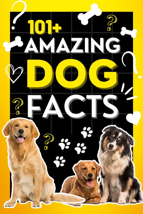 Produktbild: 101+ Amazing Dog Facts