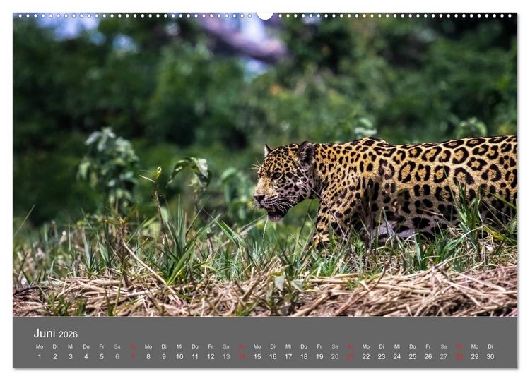 Produktbild: Brasilien 2026 abseits von Rio (hochwertiger Premium Wandkalender 2026 DIN A2 quer), Kunstdruck in Hochglanz