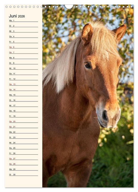 Produktbild: Isl&auml;nder Geburtstagskalender (Wandkalender 2026 DIN A3 hoch), CALVENDO Monatskalender