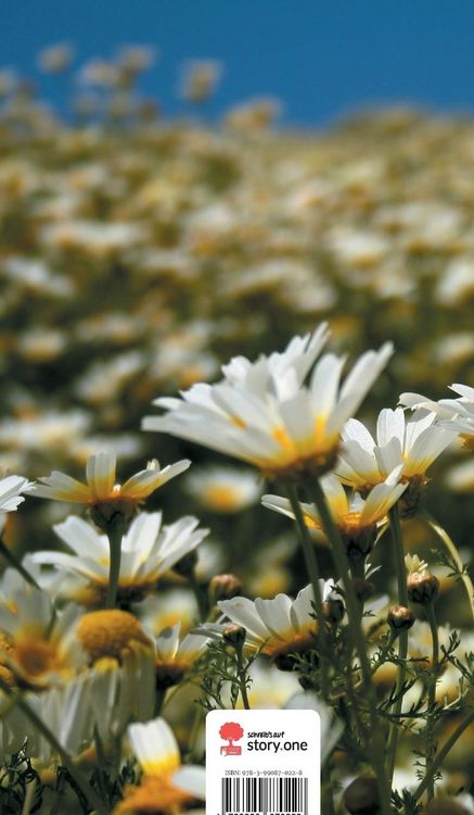 Produktbild: Ausschnitte aus dem Leben. Life is a Story - story.one