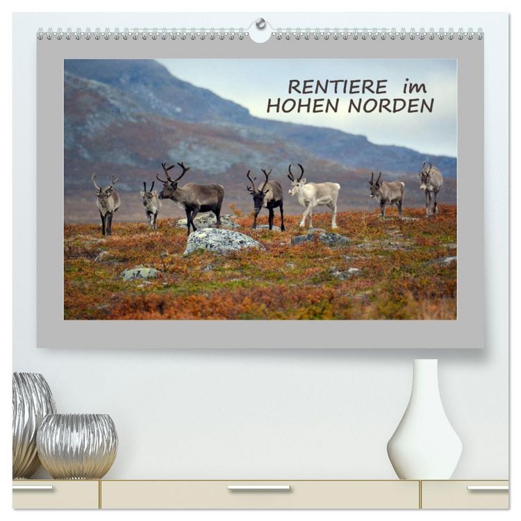 Produktbild: Rentiere im Hohen Norden (hochwertiger Premium Wandkalender 2026 DIN A2 quer), Kunstdruck in Hochglanz