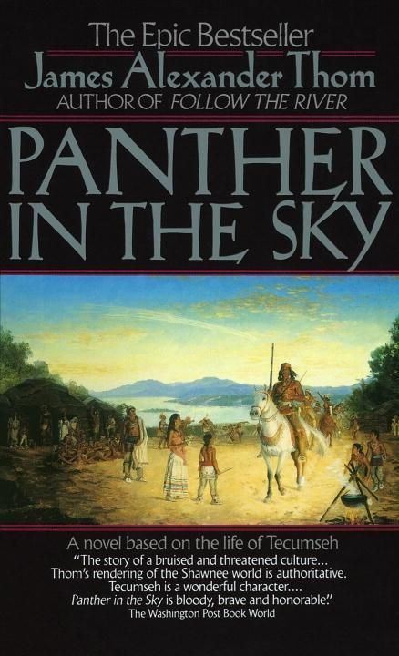 Produktbild: Panther in the Sky