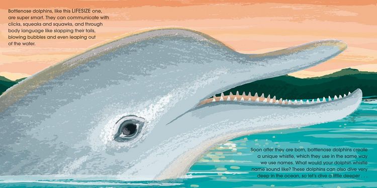 Produktbild: Henn, S: Lifesize Ocean Animals