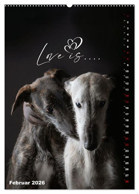 Produktbild: dogmuse deluxe (hochwertiger Premium Wandkalender 2026 DIN A2 hoch), Kunstdruck in Hochglanz