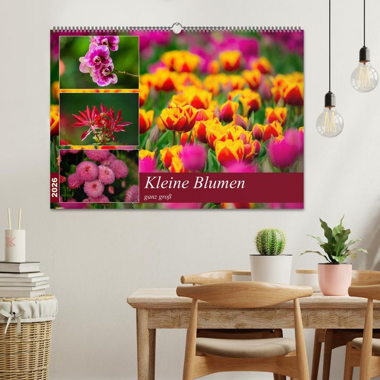 Produktbild: Kleine Blumen ganz gro&szlig; (Wandkalender 2026 DIN A2 quer), CALVENDO Monatskalender