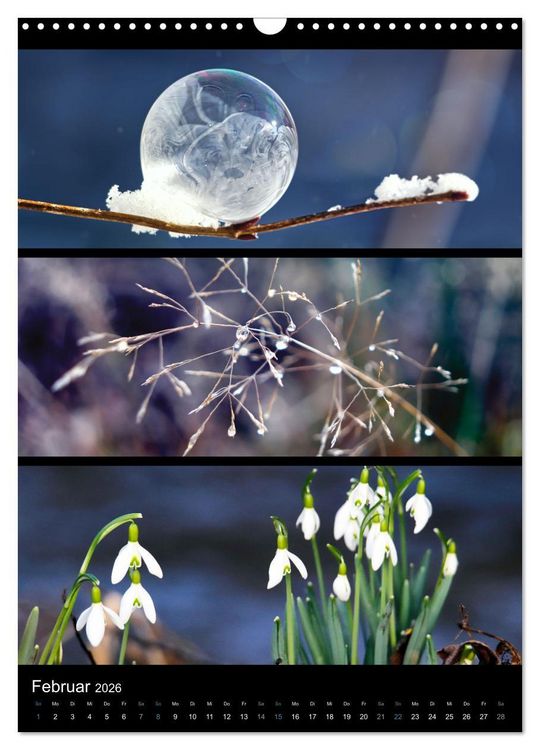 Produktbild: Bezaubernde Farben der Natur (Wandkalender 2026 DIN A3 hoch), CALVENDO Monatskalender