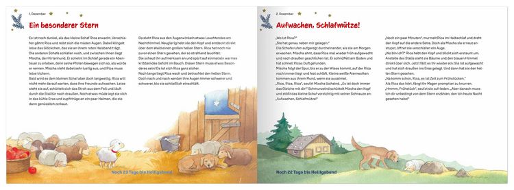 Produktbild: Rica und der geheimnisvolle Stern