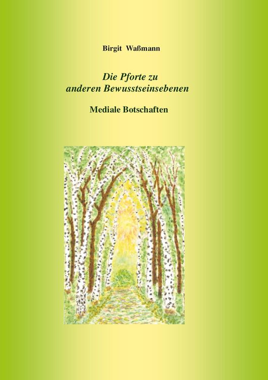 Produktbild: Die Pforte zu anderen Bewusstseinsebenen