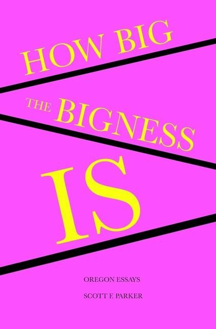 Produktbild: How Big the Bigness Is