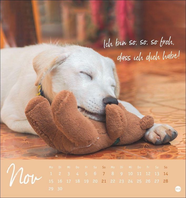 Produktbild: Ziemlich beste Freunde Postkartenkalender 2027 - F&uuml;r immer dein