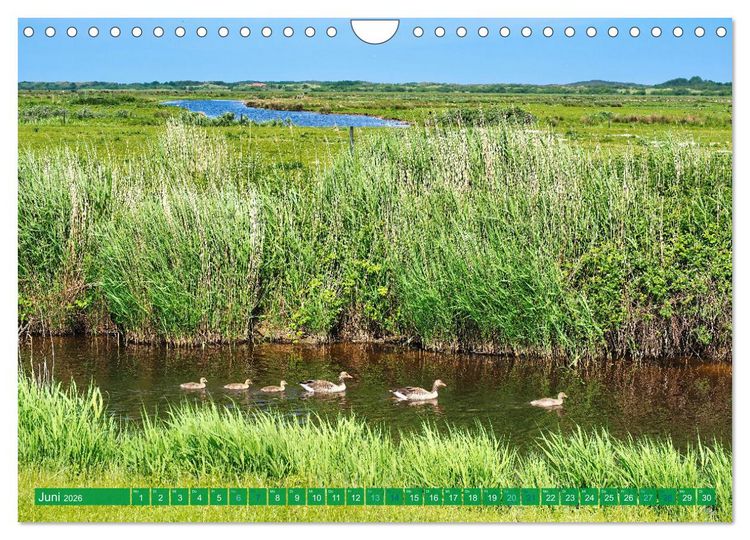 Produktbild: Borkum Ansichten (Wandkalender 2026 DIN A4 quer), CALVENDO Monatskalender