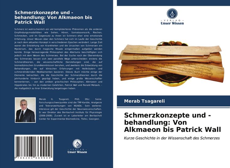 Produktbild: Schmerzkonzepte und -behandlung: Von Alkmaeon bis Patrick Wall