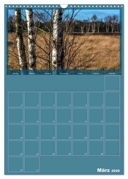 Produktbild: Worpswede - K&uuml;nstlerdorf unter weitem Himmel (Wandkalender 2026 DIN A3 hoch), CALVENDO Monatskalender