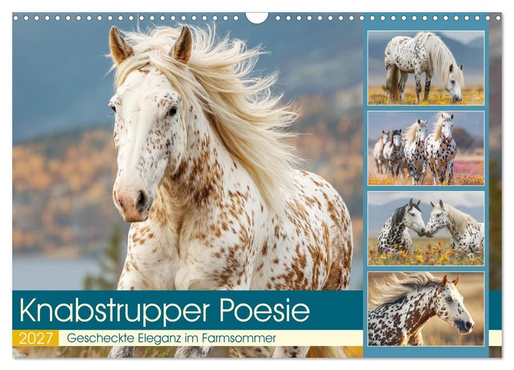 Produktbild: Knabstrupper Poesie. Gescheckte Eleganz im Farmsommer (Wandkalender 2027 DIN A3 quer), CALVENDO Monatskalender