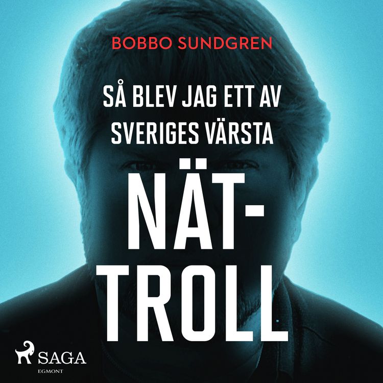 Produktbild: S&aring; blev jag ett av Sveriges v&auml;rsta n&auml;ttroll