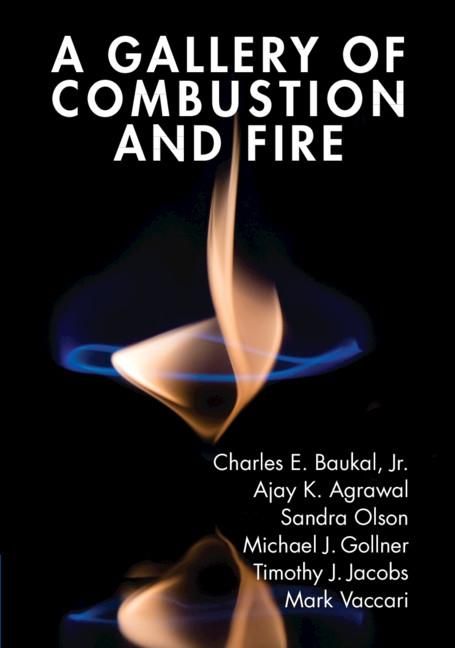Produktbild: Gallery of Combustion and Fire