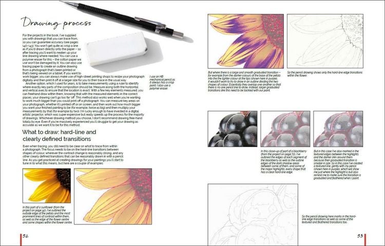 Produktbild: Inspiriert von der Natur: Anna Masons Aquarellwelt