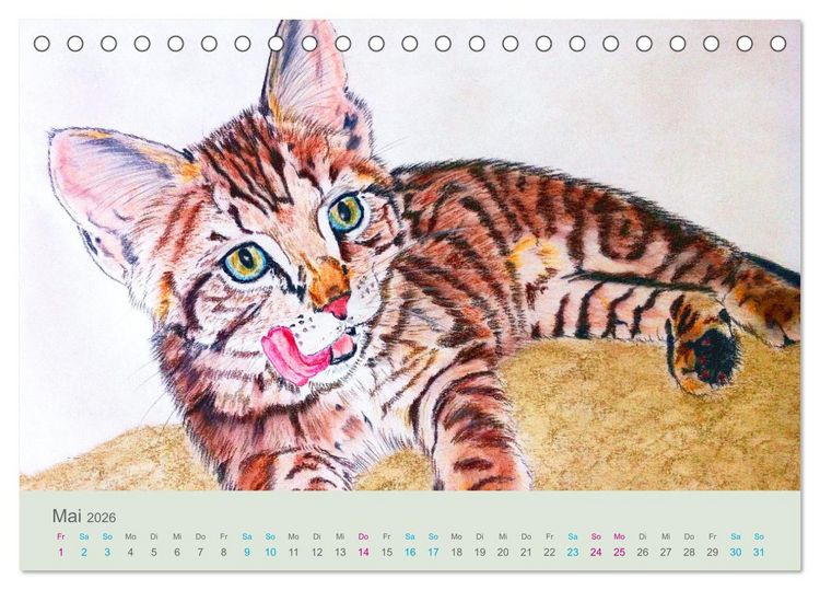 Produktbild: KATZEN PortraiTierART (Tischkalender 2026 DIN A5 quer), CALVENDO Monatskalender