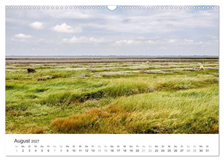 Produktbild: Hamburger Hallig - Der Weg ist das Ziel (Wandkalender 2027 DIN A3 quer), CALVENDO Monatskalender