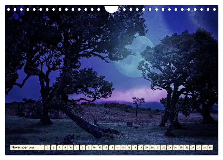 Produktbild: Mystische W&auml;lder - Zauber der Natur (Wandkalender 2026 DIN A4 quer), CALVENDO Monatskalender