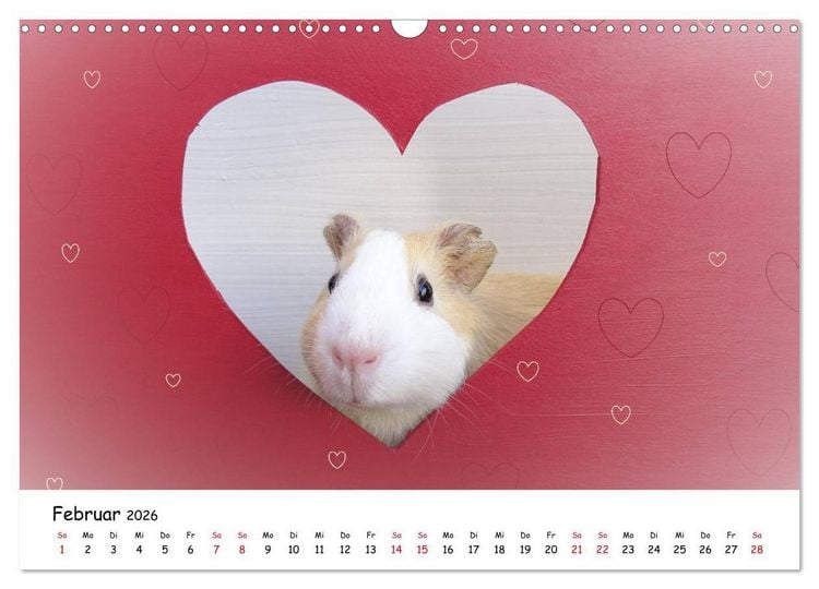 Produktbild: Meerschweinchen 2026 - bezaubernd, hinrei&szlig;end, entz&uuml;ckend (Wandkalender 2026 DIN A3 quer), CALVENDO Monatskalender