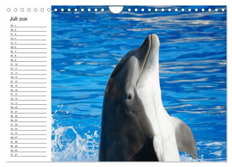 Produktbild: Delfine - L&auml;chelnde Intelligenz (Wandkalender 2026 DIN A4 quer), CALVENDO Monatskalender