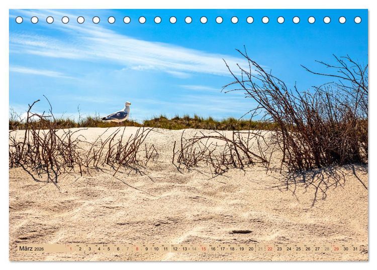 Produktbild: Norderney Spaziergang (Tischkalender 2026 DIN A5 quer), CALVENDO Monatskalender