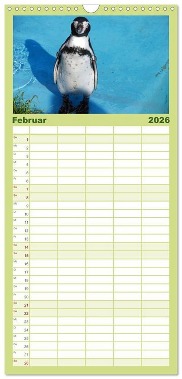Produktbild: Familienplaner 2026 - Pinguine 2026 mit 5 Spalten (Wandkalender, 21 x 45 cm) CALVENDO