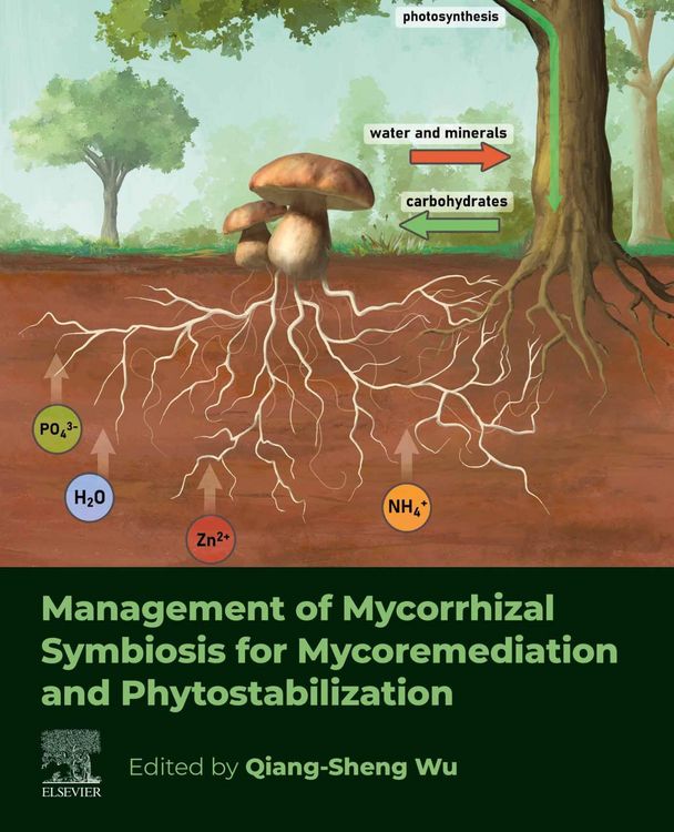 Produktbild: Management of Mycorrhizal Symbiosis for Mycoremediation and Phytostabilization