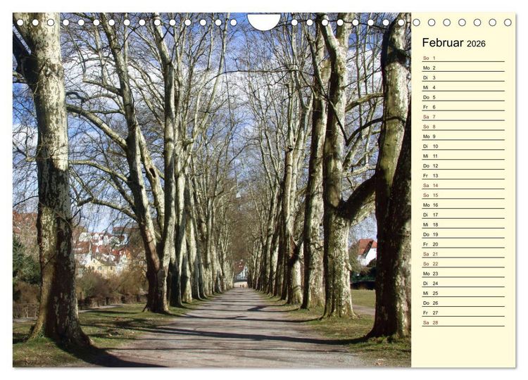 Produktbild: T&uuml;bingen erleben (Wandkalender 2026 DIN A4 quer), CALVENDO Monatskalender