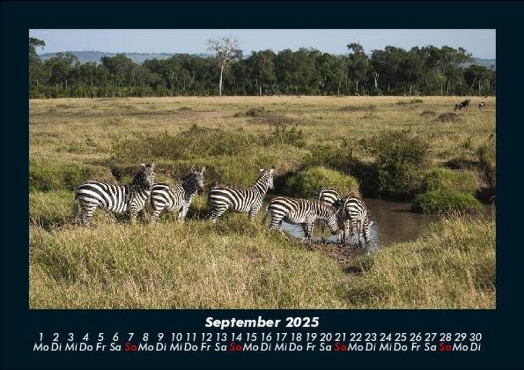 Produktbild: Zebrazauber 2025 Fotokalender DIN A5